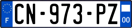 CN-973-PZ