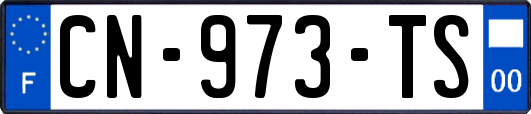 CN-973-TS