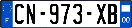 CN-973-XB