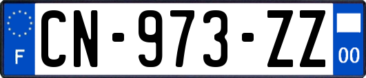 CN-973-ZZ