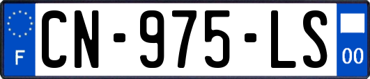 CN-975-LS