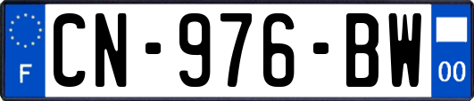 CN-976-BW