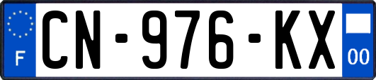 CN-976-KX