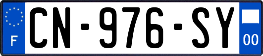 CN-976-SY
