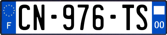CN-976-TS