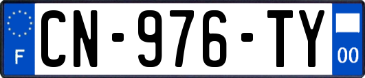 CN-976-TY