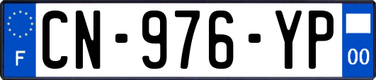 CN-976-YP