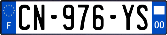 CN-976-YS