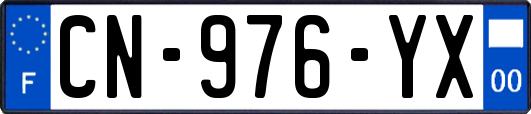 CN-976-YX