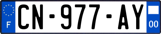 CN-977-AY