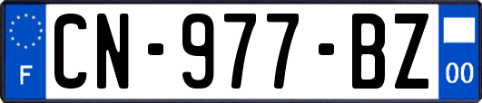 CN-977-BZ