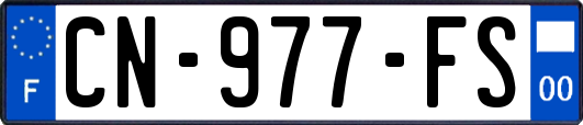 CN-977-FS