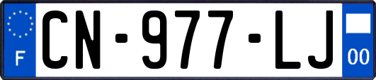 CN-977-LJ