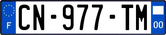 CN-977-TM
