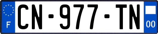 CN-977-TN