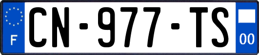 CN-977-TS