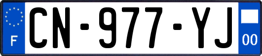 CN-977-YJ