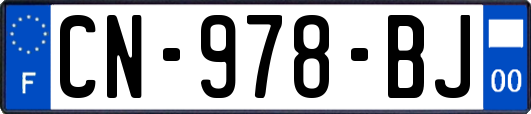 CN-978-BJ