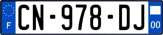 CN-978-DJ