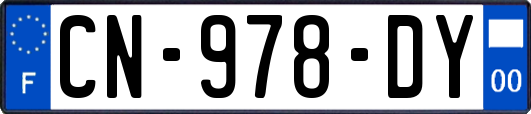 CN-978-DY