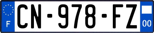 CN-978-FZ