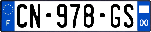 CN-978-GS