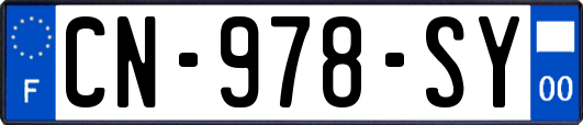 CN-978-SY