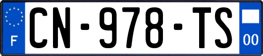 CN-978-TS