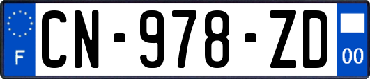 CN-978-ZD