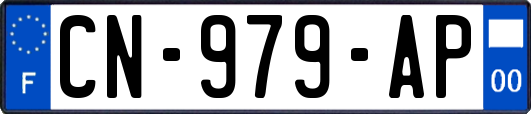 CN-979-AP