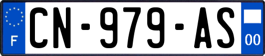 CN-979-AS