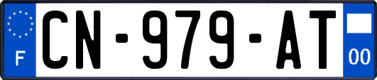 CN-979-AT