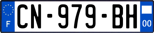 CN-979-BH