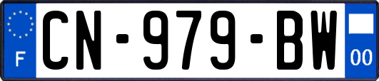 CN-979-BW