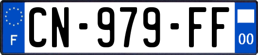 CN-979-FF