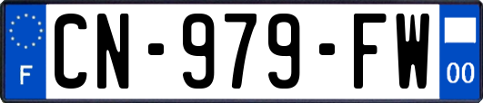 CN-979-FW