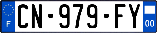 CN-979-FY