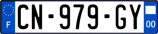 CN-979-GY