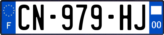 CN-979-HJ