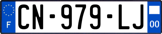 CN-979-LJ