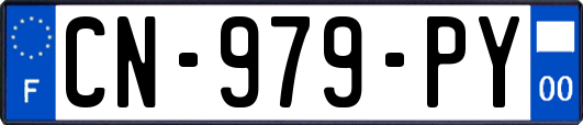 CN-979-PY