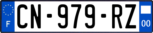CN-979-RZ