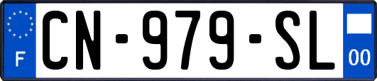 CN-979-SL