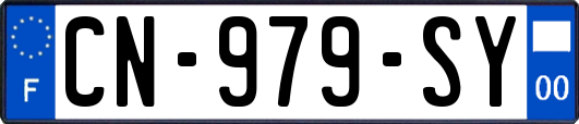 CN-979-SY