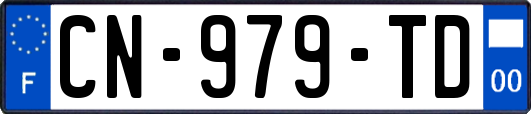 CN-979-TD