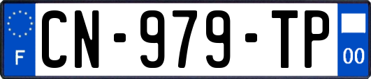 CN-979-TP