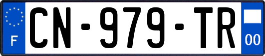 CN-979-TR