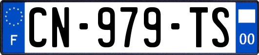 CN-979-TS
