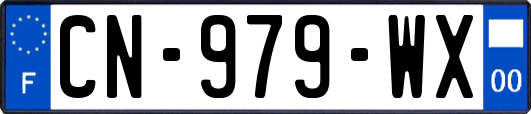 CN-979-WX