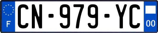 CN-979-YC